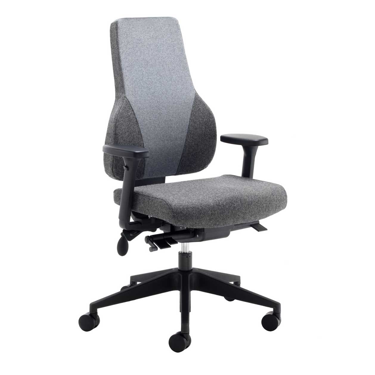 Apex Posture - Image 3