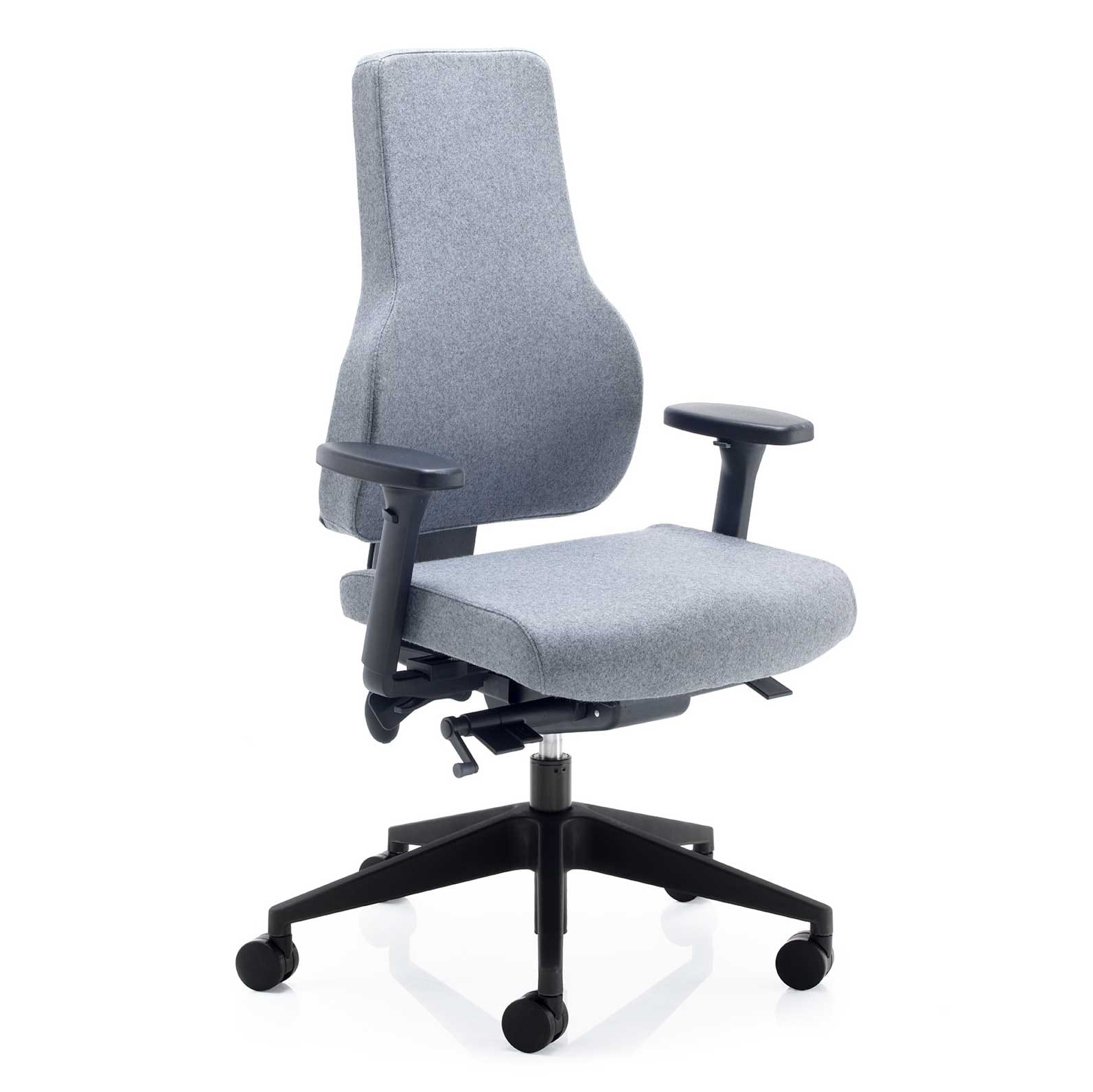 Apex Posture