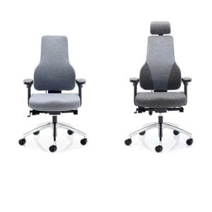 Alternative view of Apex Posture