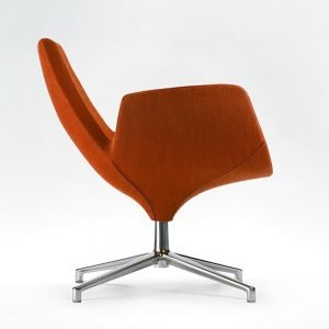 Alternative view of Beetle