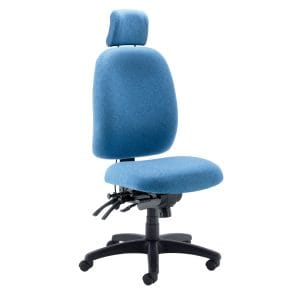 Alternative view of PPi Posture Plus